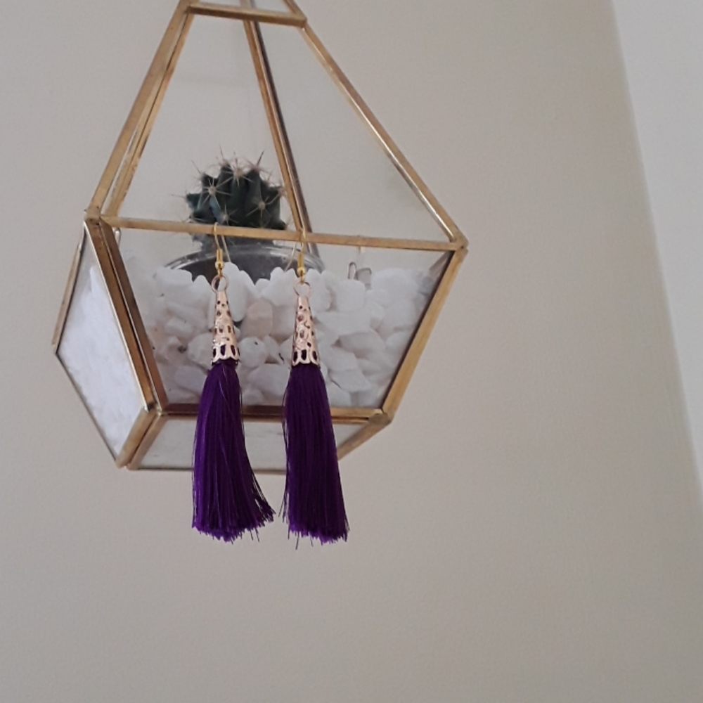 Tassle Earrings